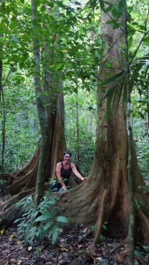 Palenque, Dschungeltour: Größenverhältnisse!