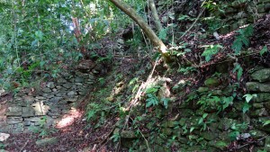 Palenque, Dschungeltour: Faktisch ist jeder Hügel im Dschungel ein Maya-Bau