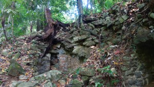 Palenque, Dschungeltour: Man kann hier hervorragend den Aufbau des Maya-Bauwerks erkennen und wie der Pflanzenwuchs die Struktur verändert haben