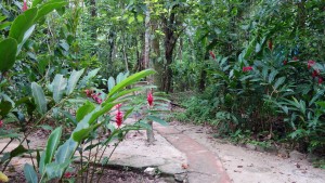 Palenque, El-Panchan: Schöne Spazierwege führen durch die gesamte Anlage