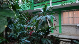 Palenque, El-Panchan: Unser Quartier bei Margarete & Ed