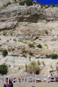 Cape Kidnapper: Geologie der Klippen, erklärt von unserem Guide und Traktorfahrer