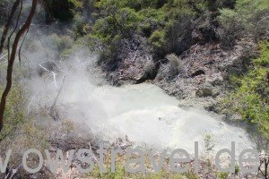 Wai-O-Tapu: See mit kochend heißem Wasser