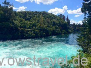 Taupo, Huka-Falls: Danach fließt der Waikato River wieder ganz ruhig dahin als wäre nichts gewesen.